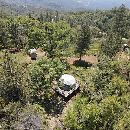 Enchanted Forest Dome ,10-15 Minutes To Kings Canyons-New Pellet Stove For Cozy Warm Nights Dunlap Екстериор снимка